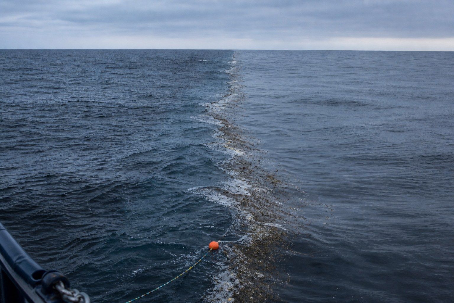A long sinuous convergence line of foam and slick water running towards the horizon in the open ocean at dawn, with visibly different surface texture and colour on either side of it.